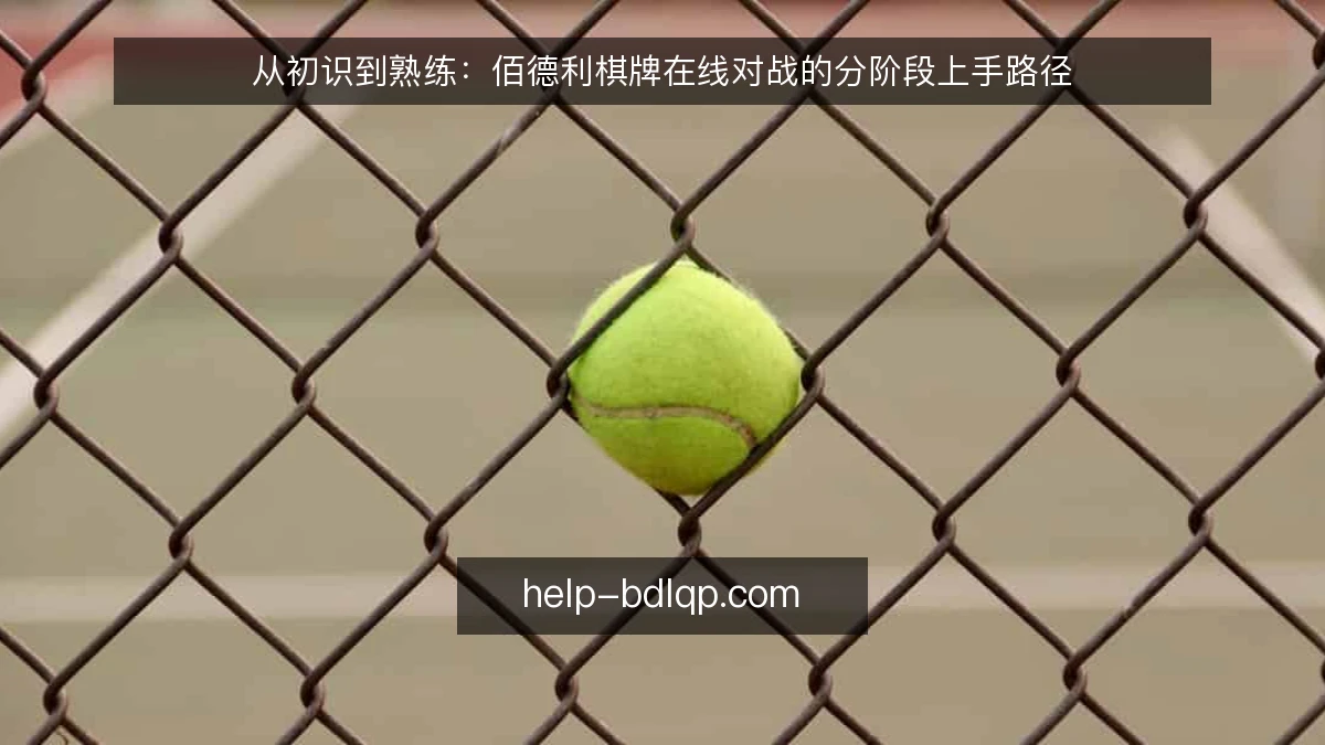 从初识到熟练：佰德利棋牌在线对战的分阶段上手路径
